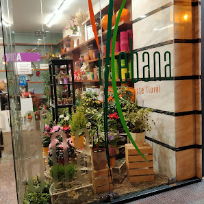 Foto de Floristería Ikebana